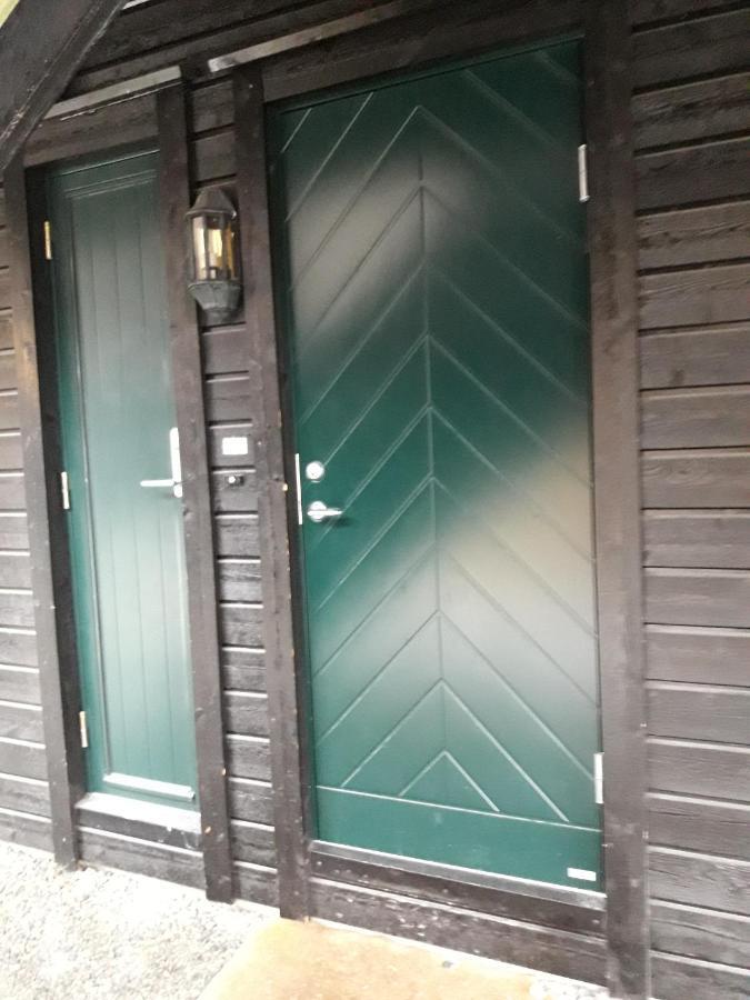 Apartement Roldal Alpingrend Exterior foto